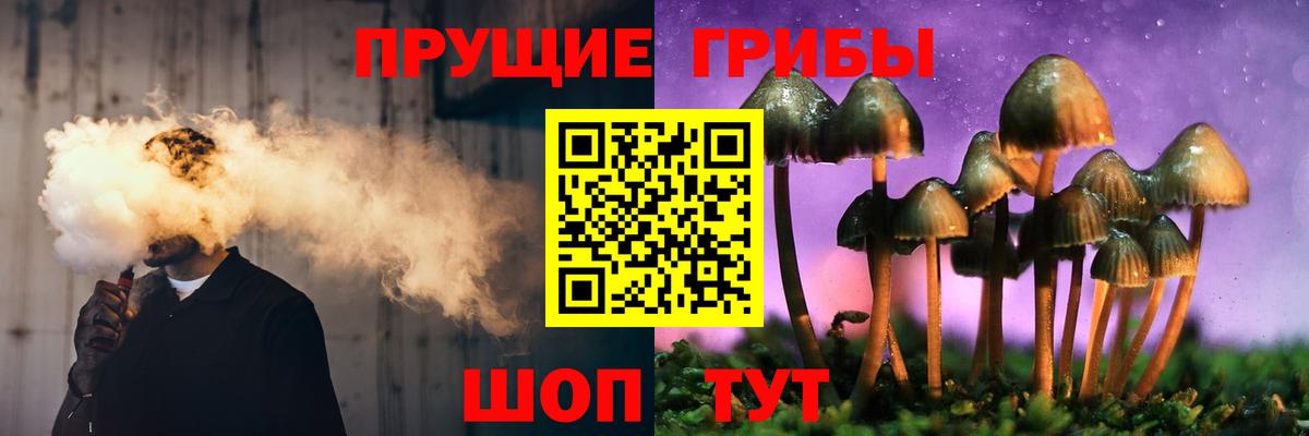 Галлюциногенные грибы прущие грибы Ярославль